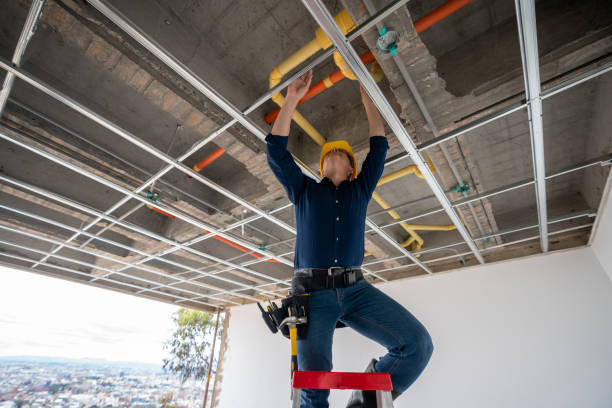 Best Plumbing Inspection Services  in Wildwood Lake, TN